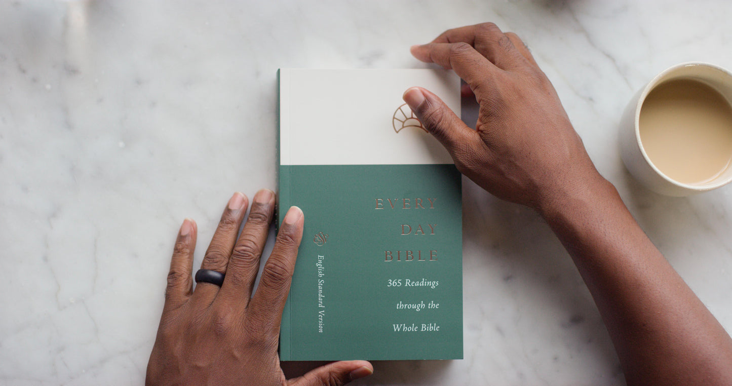 EVERY DAY BIBLE: 365 READINGS THROUGH THE WHOLE BIBLE (ESV) - STWD.us