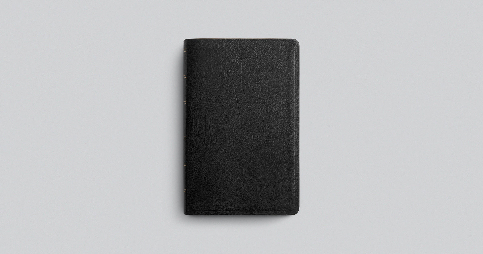 BIBLE: LARGE PRINT LEATHER (ESV, PERSONAL SIZE) - STWD.us